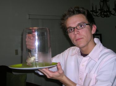 frog3